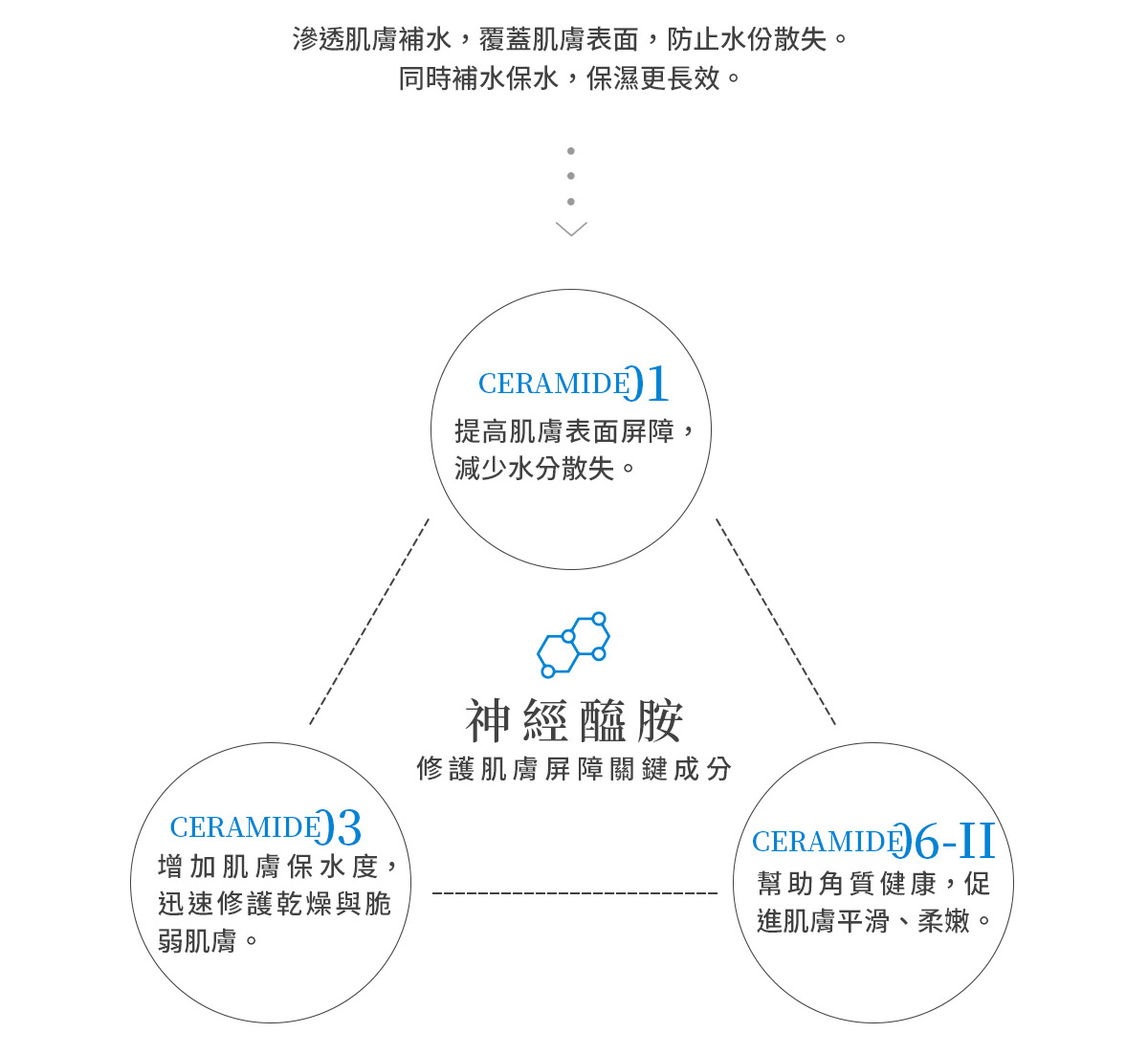 簡單保養B5修護乳
